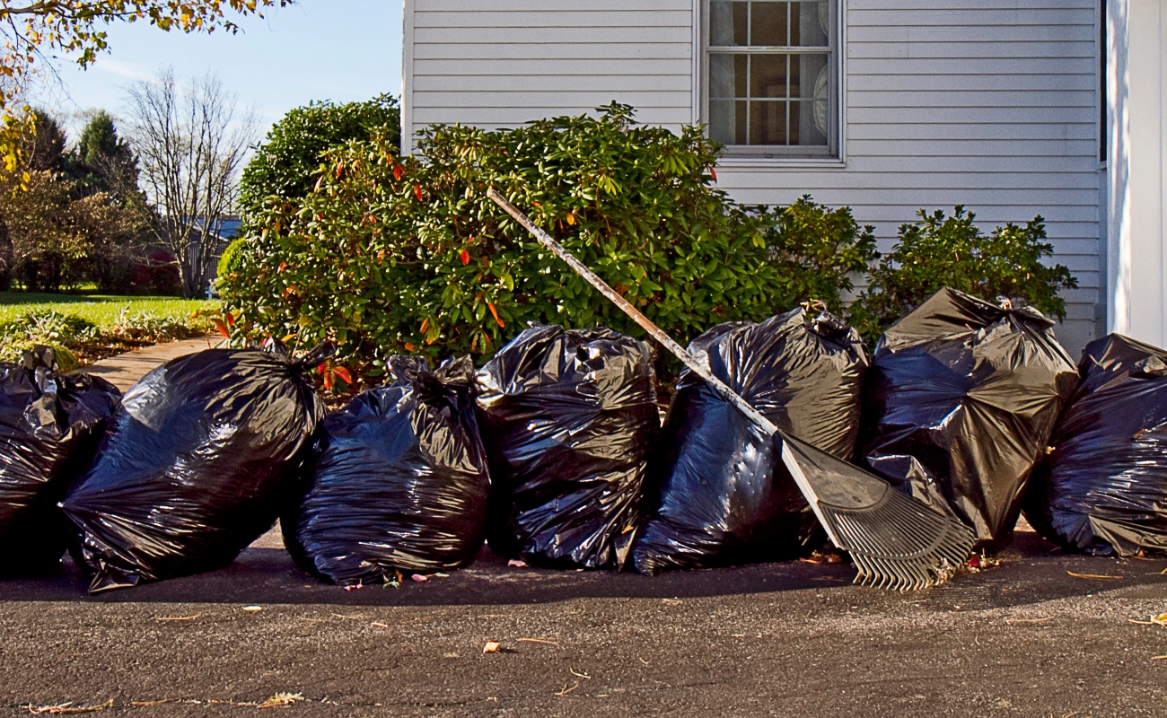Eco Toss Junk Removal Banner 3