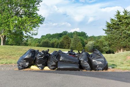 Trash Removal