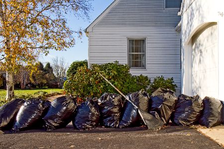 Yard Waste Removal